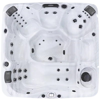 Avalon-X EC-840LX hot tubs for sale in Ocala