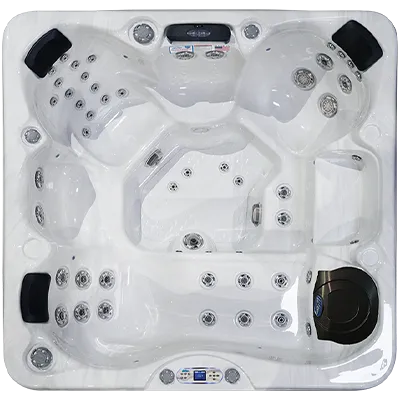Avalon EC-849L hot tubs for sale in Ocala